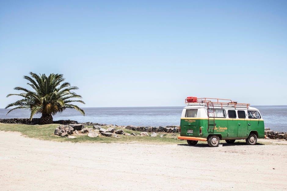 A vintage green van parked by a palm tree on a sunny and sandy coastline.