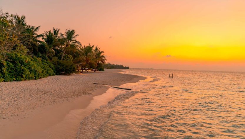 Peaceful tropical beach scene at sunset with lush palm trees and golden sky.