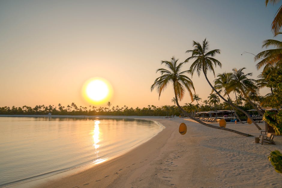 Idyllic tropical beach at sunrise with palm trees and golden sand, perfect for a serene vacation getaway.
