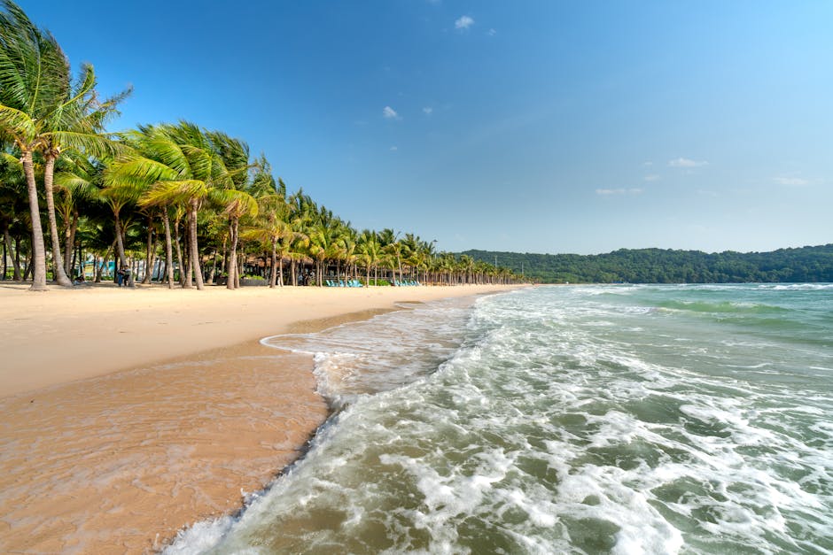 A picturesque tropical beach with palm trees and gentle waves under a clear sky.