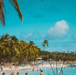 Vibrant beach scene with palm trees, clear sky, and people enjoying a tropical getaway.
