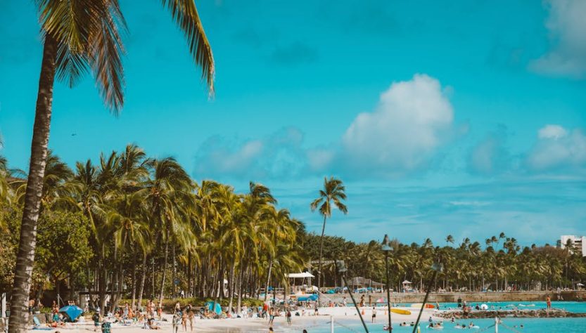 Vibrant beach scene with palm trees, clear sky, and people enjoying a tropical getaway.